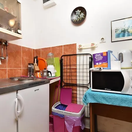 公寓 Fuer 3 Personen Ca 25 Qm In Pjescana Uvala, Istrien Istrische Riviera